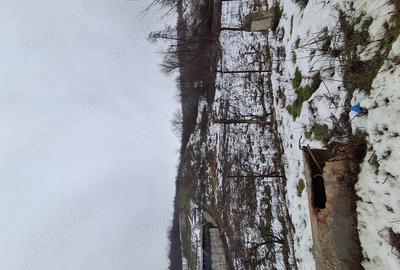 Spațiu comercial, în Petriș - 2