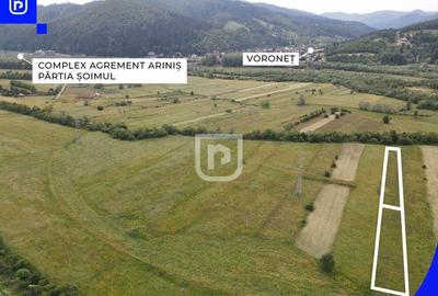 Teren Vorone? | Gura Humorului | Suceava - Bucovina - 28... - 1