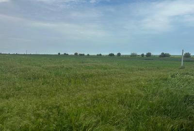 Teren Construcții intravilan de 1000 mp, în Tuzla - 9