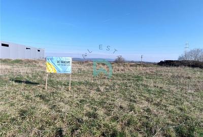 Teren Construcții intravilan de 7700 mp, în Prejmer - 7