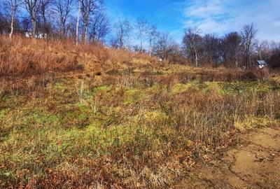 Teren Spitalul judetean pret redus 50% 16 euro mp 6000 mp - 5