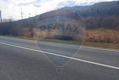 Teren agricol extravilan de 10000 mp, în Brădet - 5