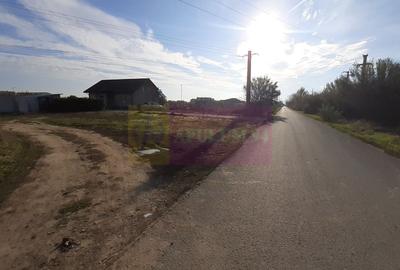 Teren Construcții intravilan de 1137 mp, în 1 Decembrie - 21