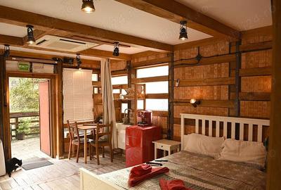 Brasov - zona Schei, pensiune boutique de inchiriat. - 5