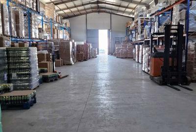 Spațiu comercial, de 600 mp, în Joița - 1