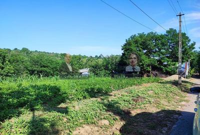 Teren pentru casa/Fantani/Nicoresti - 3