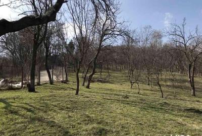 Teren de 1660 mp, în Teișani - 3