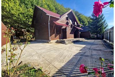 Casa de vacanta!!! Valea Bozom- Apata - 24