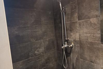 Garsonieră în Dragoș Vodă - 4