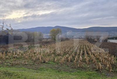 Teren intravilan, 2100 mp, Micesti - 1