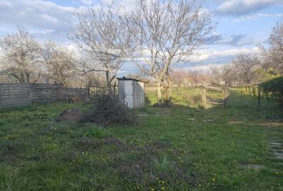 Casă cu 4 camere în Seleuș - 5