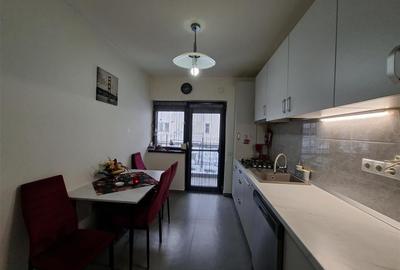 Apartament modern 2 camere balcon curte parcare zona Doamna Stanca - 12