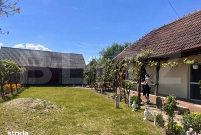 Casă cu 2 camere cu Teren 3548 Mp în Doba - 8