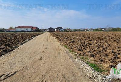 Teren 1171mp la intrare in Palanca langa Raul Sabar - 3