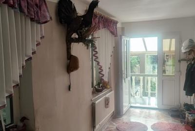 Popietate deosebită  de vinzare în centrul orașului Sebes - 5