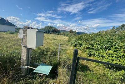 De vanzare Teren intravilan in Busag, ideal pentru casa ta! De vanzare Teren intravilan in Busag, ideal pentru casa ta! - 9