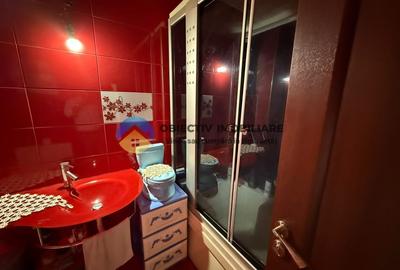 Casa de vanzare cu peisaj deosebit - Savinesti, jud. Neamt - 13