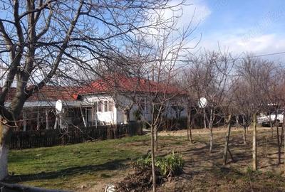 Casă cu 3 camere în Rași - 5