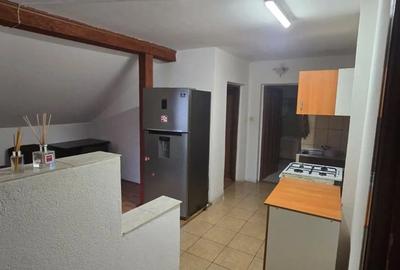 Proprietar inchirierez apartament cu 2 camere,casa in calea Aradului,etaj 2 mansarda, Piata Verde - 2