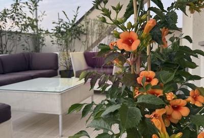 Apartament cu 3 camere decomandat, mobilat în Timpuri Noi - 12