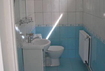 Spatiu productie, depozit, birouri, 220mp, utilitati, Craiova, Petrom Chiriac, - 2