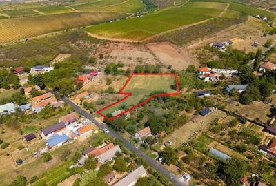 Mini?- destina?ia ideala pentru o resedin?a de lux ?... - 10