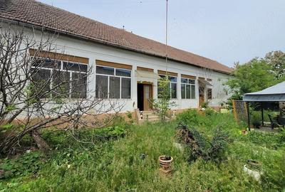Casă cu 3 camere cu Teren 1434 Mp în Satchinez - 8