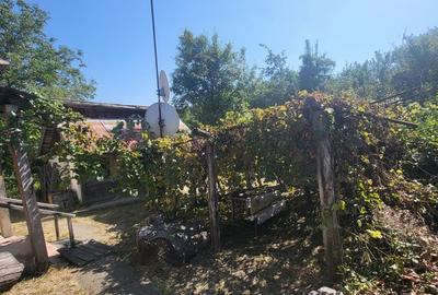 Casă cu 7 camere cu Teren 279 Mp în Central