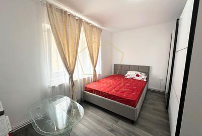 Apartament cu 2 camere semidecomandat, mobilat în Șagului - 6