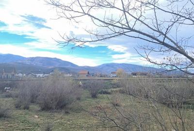 Teren de 500 mp, în Central - 6