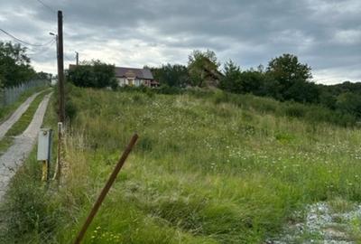 Teren Construcții intravilan de 2000 mp, în Valea Borcutului - 3