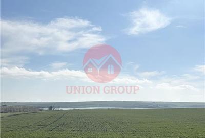 Teren de 700 mp, în Central