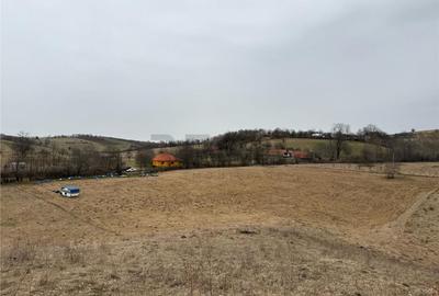 RECO , teren intravilan in Tomnatic, Vadu Crisului - 1