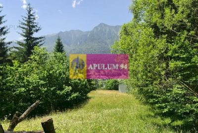 Teren de vânzare în Bușteni - Zona Zamora - 7