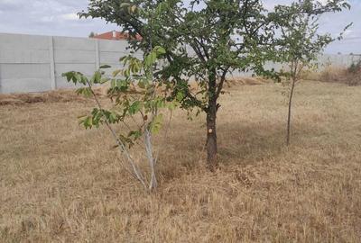 Teren de 500 mp, în Domnești - 2