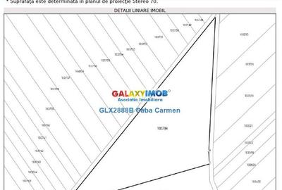 Teren extravilan de 25000 mp, în Nord - 4