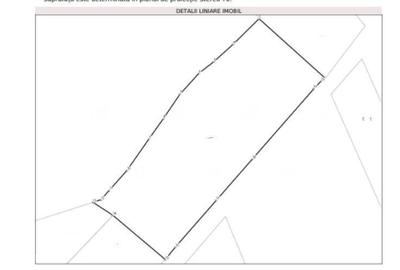 Teren de 5800 mp, în Gheorgheni - 4