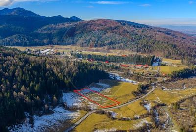 Teren intravilan de 10000 mp, în Brădet - 9