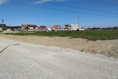 Spațiu comercial, în Cihei - 4