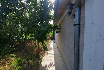 Hala de 800 mp cu teren de 1600 mp in Ineu de Cris Bihor. - 8