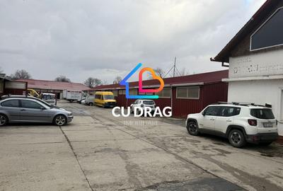 Spațiu comercial, de 750 mp, în Turnișor - 4
