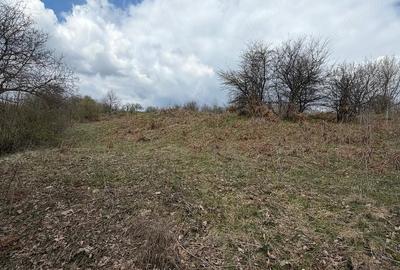 Teren de 10176 mp, în Slătioara - 3