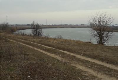 Teren de 5000 mp, în Berceni - 1