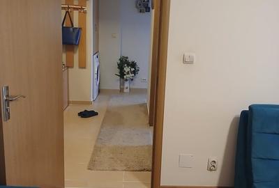 Apartament cu 3 camere decomandat în Olteni - 7