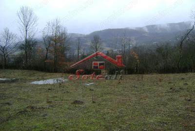 Teren de 2656 mp, în Drăgăneasa - 10