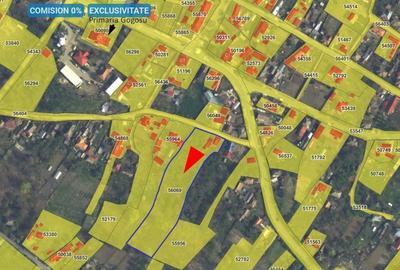 Casă cu 3 camere cu Teren 6299 Mp în Gogoșu - 3