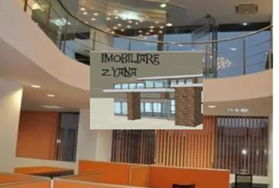 Birou, 290 mp în Cișmigiu - 14