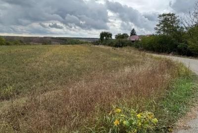 Teren în Vlad Țepeș - 10