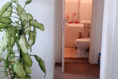 Apartament doua camere de vanzare Ultracentral - 9