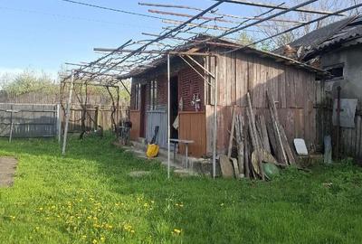 Casă cu Teren 1273 Mp în Dobra - 2